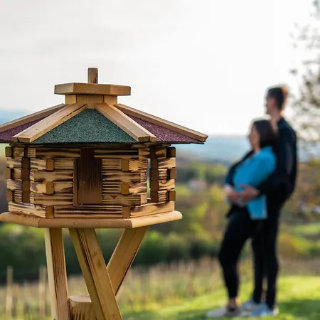 Weinspitz - Wellness House Holiday home