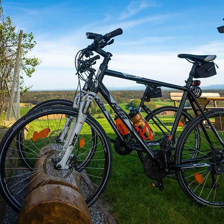 Weinspitz - Wellness House Holiday home